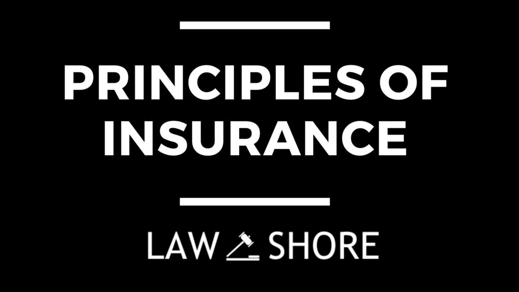 Principles of Insurance