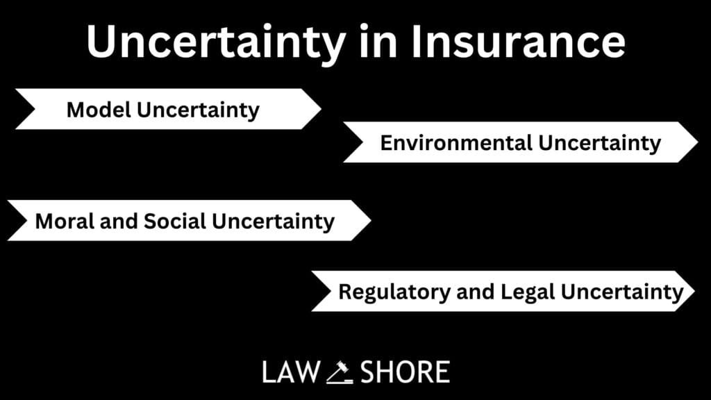 Risk and Uncertainty in Insurance